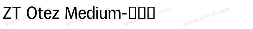ZT Otez Medium字体转换